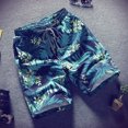 thumbnail image 1 of Pantalones cortos de tabla para hombre, traje de baño de secado rápido, fiesta de vacaciones en la playa, Bermudas, pantalones grandes de natación Sailing Electrónica, 1 of 5