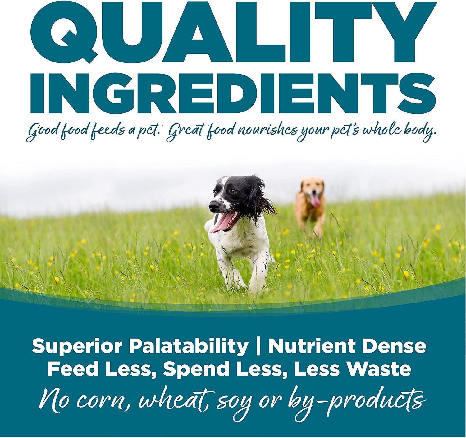 NutriSource 26010 Dry Dog Food, Adult, Chicken, 26 Lbs. - Quantity 1