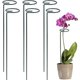 thumbnail image 1 of Soporte para Plantas 6 Piezas Anillo de Soporte para Plantas Anillo de Soporte de Jardín de Metal para Plantas Flores Verduras 40 cm, 1 of 5