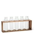thumbnail image 1 of 5 Tall Bottles In A Rack Vase, 1 of 1