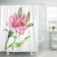 thumbnail image 1 of ABPHQTO Cortina de ducha rosa acuarela botánica de la flor Alstroemeria en rojo 152x180 cm ABPHQTO PKNMT60x72Shower-7217, 1 of 2