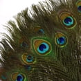 thumbnail image 7 of 40PCS Peacock Feathers 10-12 Inch, Green Peacock Eye Tail Feathers and Sword Feathers for DIY Crafts Art Halloween Mardi Gras Costume Wedding Home Party Christmas Decorations, 7 of 7