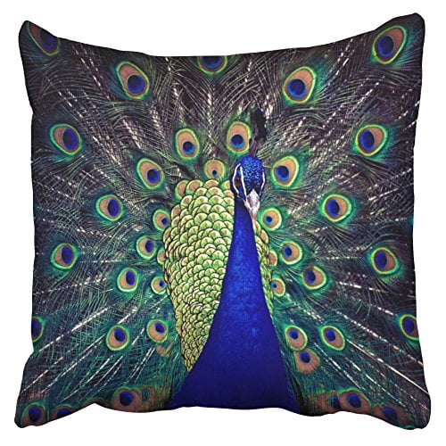 WinHome Pillowcases Cobalt Blue Peacock Decorative Throw Pillow Covers