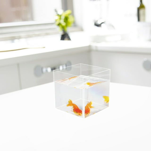 BESTYASH 1Pack Transparent Mini Design Aquarium Tank for Indoor Use Home Decoration 10X10X10in