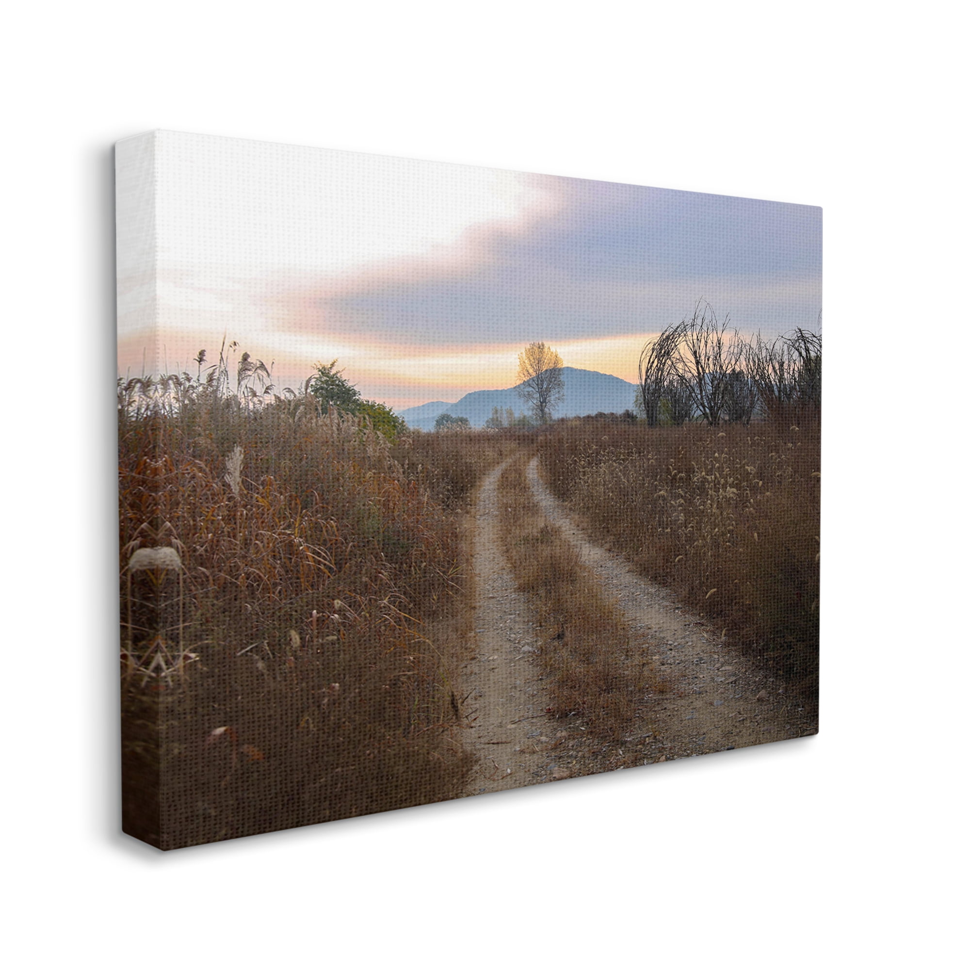 Stupell Industries Rural Trail Landscape Nature Photography Gallery Wrapped Canvas Print Wall Art, 48 x 36