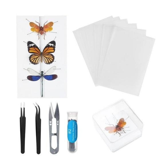 Insect Specimen Tools Kit,Butterfly Specimen Tool for Classroom Teaching Display