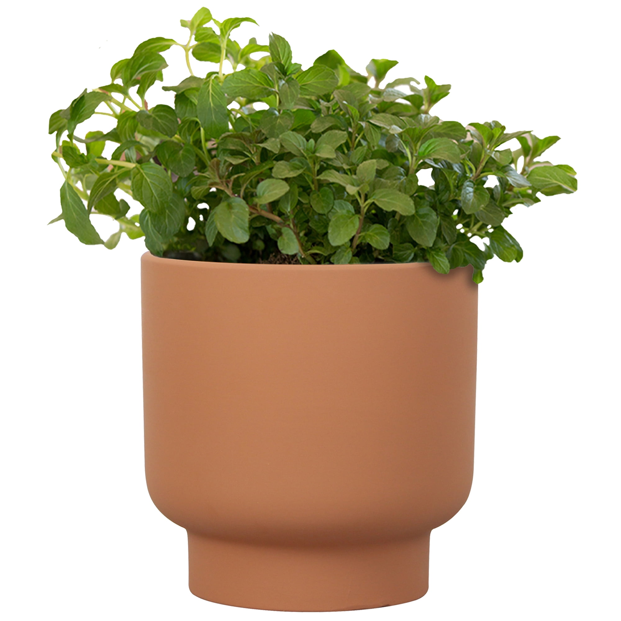 Mainstays Small 4in Diameter Round Terracotta Petra Terra Planter