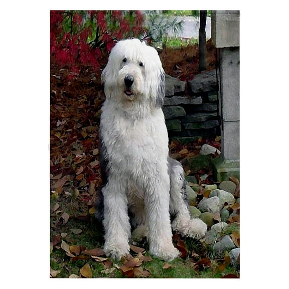 3dRose, Old English Sheepdog, 22x30 Bath Hand Pool Towel