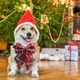 thumbnail image 5 of Collar de perro navideño, para cachorros, perros, gatos, mascotas, 5 of 5