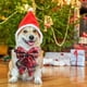 thumbnail image 5 of Collar de perro navideño, para cachorros, perros, gatos, mascotas, 5 of 5