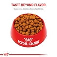 thumbnail image 2 of Royal Canin Large Adult Dry Dog Food for Older Dogs, 30 lb bag, 2 of 4