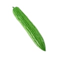 thumbnail image 3 of Tnarru Artificial Vegetable Centerpiece Simulation Vegetable for Drawing Party Shop Short Bitter Melon, 3 of 8
