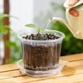 thumbnail image 6 of Plant Pots, Clear Plastic Drainage Holes Matching Saucers Tray Seed Starting Propagation Container 4 5 6 7 in Sizes Garden Sowing Vessels Botanical Growing Tool 5in, 6 of 6
