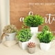 thumbnail image 5 of 1 paquete de pequeñas plantas en maceta falsas, Mini plantas de escritorio artificiales para interior, casa de campo, mesa de oficina, estante, decoración de baño, 5 of 5