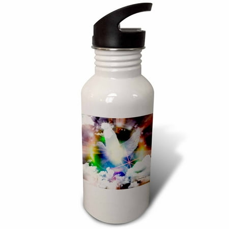 

Transcending Spiritual Light - Bird - Dove Art 21 oz Sports Water Bottle wb-6561-1