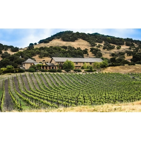 LAMINATED POSTER Agriculture Winery California Vineyard Napa Valley Poster Print 11 x (Best Small Wineries In Napa)