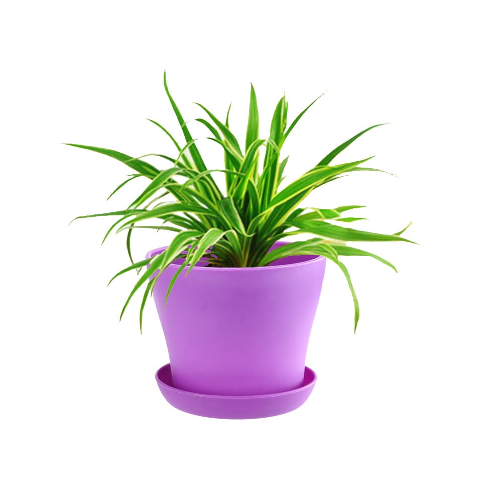 Beska Multicolored Plastic Flower Plant Pots Succulent Plant Flowerpot