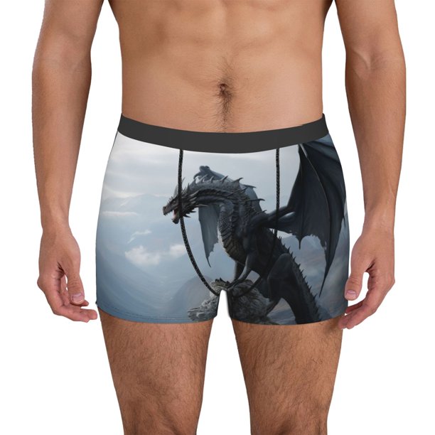 Balery Valley Gray Dragon Calzoncillos bóxer para hombre, ropa interior de algodón suave y transpirable con cinturilla de nailon-XX-Large