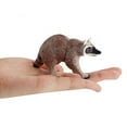thumbnail image 5 of Ksopiavobs Realistic Raccoon Figurine Plastic Raccoon Family Set Wild Animal Figurine Set for Collection Science Educational Prop Desktop Decoration, Pack of 3, 5 of 7