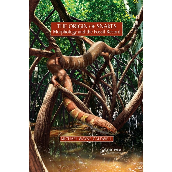 The Origin of Snakes: Morphology and the Fossil Record, (Paperback)