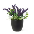 thumbnail image 1 of Lavender Bunch In Pot Floral, 1 of 2