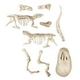 thumbnail image 3 of Clementoni : Archéo-Ludic / T-Rex (French game), 3 of 3