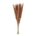 thumbnail image 2 of Dried Reed Decor  15Pcs Reed Grass Bouquet for Wedding Boho Flowers Home Table Decor  Rustic Farmhouse Party, 2 of 8