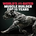 thumbnail image 2 of Bully Max Power Tabs for Muscle Gain & Growth 2-in-1 30 Tablets All Life Stages Muscle Supplement for Dogs for Puppies & Adults Dogs Love The Taste!, 2 of 9