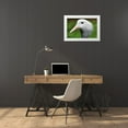 thumbnail image 3 of Smithsonian Institution 18x13 White Modern Wood Framed Museum Art Print Titled - Stanley Crane, 3 of 4
