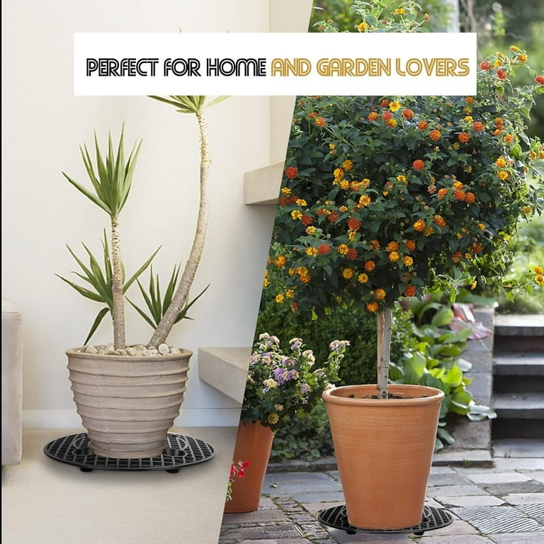 house plant fertilizer Instant Plant Food Duo| Plant Care main image 0
