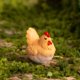 thumbnail image 1 of Adornos de resina para micropaisajes, lindos muñecos de animales de granja, cerdos, gallinas y ovejas, 1 of 6