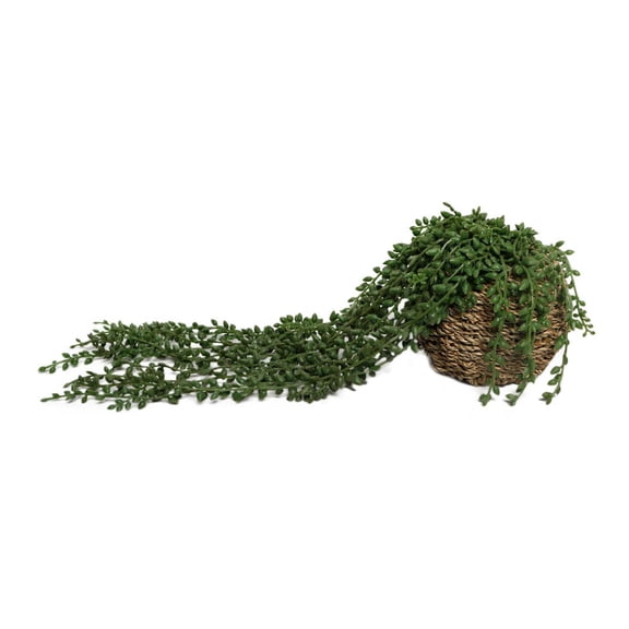 17.5" String of Beads in 6" Basket