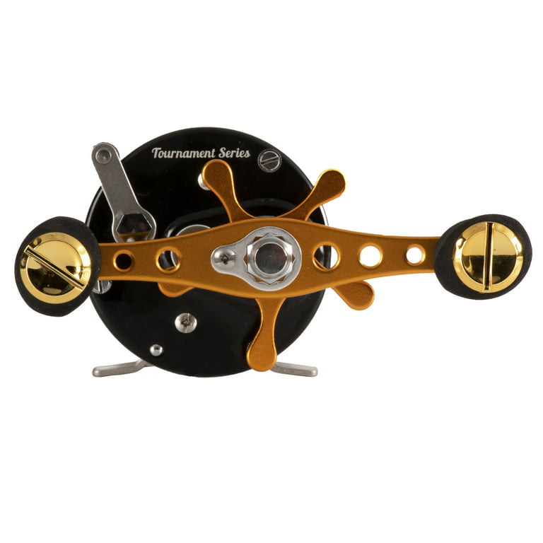 Catfish Pro Tournament Series 600CTS Round Baitcasting Reel - 6+1 Stainless  Steel Ball Bearings, 5.3:1 Gear Ratio, 19lb Drag, Brass Gears, Centrifugal  Brake, Durable & Powerful for Big Catfish Fishing : Sports & Outdoors 