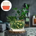 thumbnail image 3 of 2 Sets Plastic Vegetable Planters Growing Containers Garden Home Decors, 3 of 9