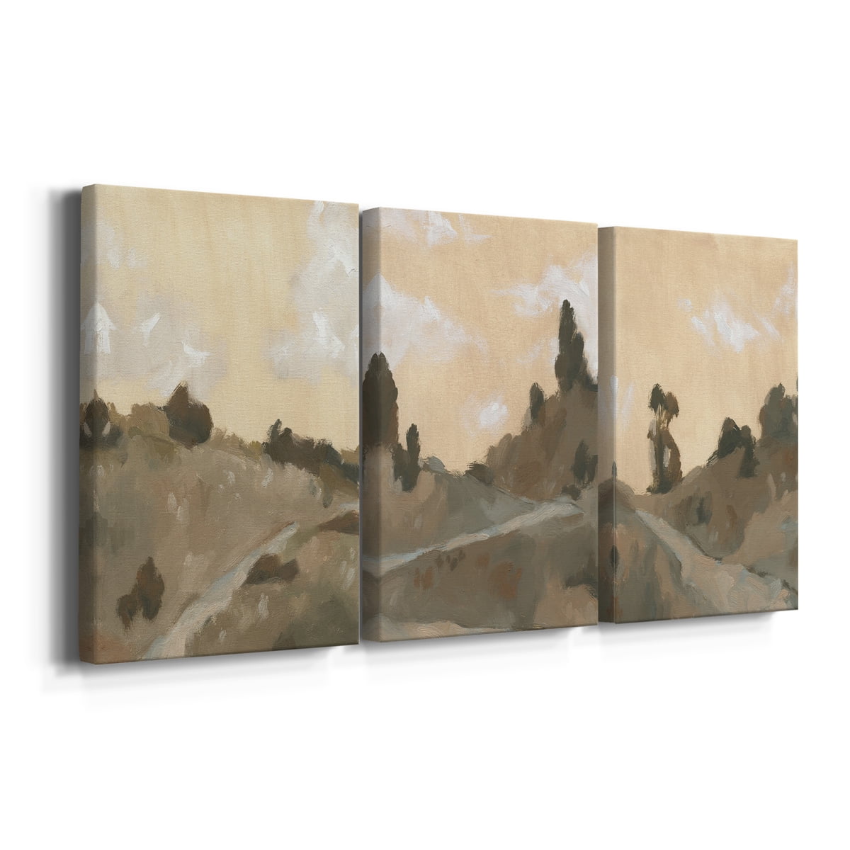 Hillside Walking Path IV Premium Gallery Wrapped Canvas - Ready to Hang - 24 x 36 Each