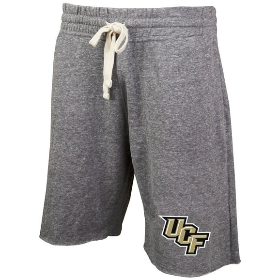 Men's Concepts Sport Gray UCF Knights Mainstream Terry Shorts