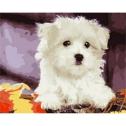 Oil Painting by Number Kit Acrylic Paint for Adults Kids Dog 19.7x15.7in