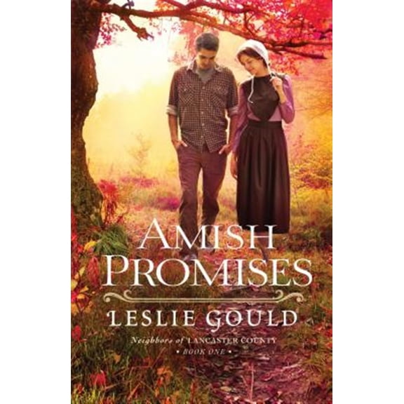 Pre-Owned Amish Promises (Paperback) 0764215086 9780764215087