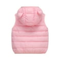 thumbnail image 3 of Kids Hooded Puffer Vest Lightweight Sleeveless Outerwear Zipper Closure Warm Gilet for Boys and Girls Winter Fall Spring, 3 of 4