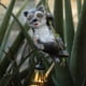 thumbnail image 3 of Figurado Colgantes Que Sube A Mapache en La Vid Solar Con Linterna LED S, 3 of 9