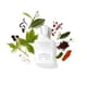 thumbnail image 3 of Perfume Creed Silver Mountain Water para hombre 30 ml, 3 of 7
