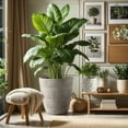 thumbnail image 5 of 3-Piece Round Concrete Planter Set (13”+11”+9”) – Large Indoor Outdoor Plant Pots with Drainage Hole & Rubber Plug, Modern Cement Garden Planters for Patio, Balcony, Home Décor (SH006), 5 of 12