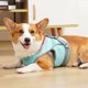 thumbnail image 3 of Arnés para perros Chaleco de enfriamiento Ajustable Malla transpirable Pet Summer Cooler, 3 of 8