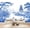 Color 4, variant on Wallpaper Red Crowned Cranes Under Rising Sun Traditional Peel and Stick Wall Murals 69"H x 96"W Removable PVC Wall Paper Self-Adhesive Wall Paintings Art Decor for Bedroom Living Room