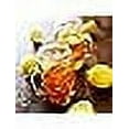 thumbnail image 2 of Gold Peak 18.5 Ounce 12 Pack Tea Bundled by Louisiana Pantry (Sweet Black), 2 of 7