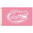 thumbnail image 1 of QIFEIHA Florida Gators Flag 3x5 Feet Banner Flag, 1 of 3