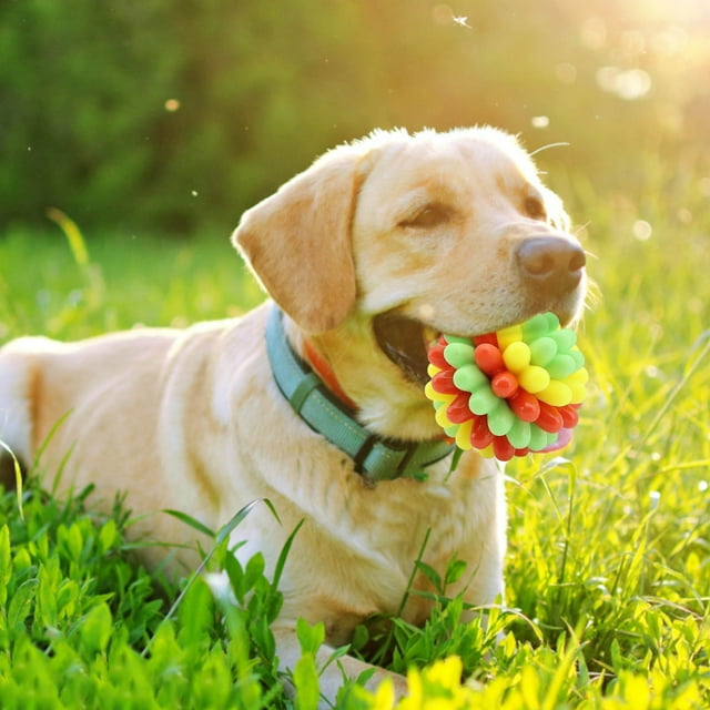 Heavy Duty Spiky Chew Toy for Aggressive Chewers - Textured Chewing Exercise Tool with Cleaning Bumps for Dogs
