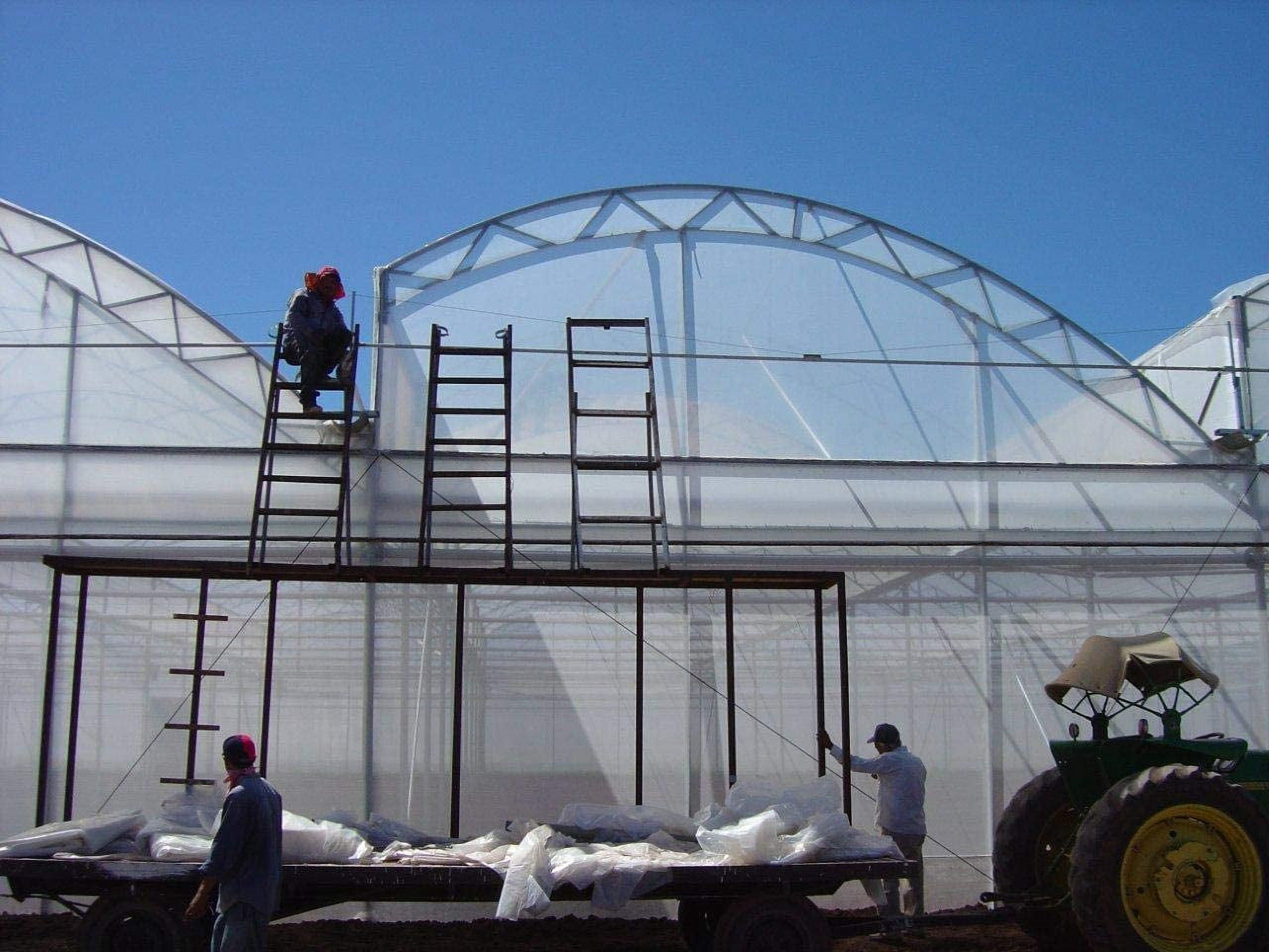 Greenhouse Plastic Clear 6 mil, 4 Year, Polyethylene Covering Film (12 ft. Wide x 25 ft. Long)