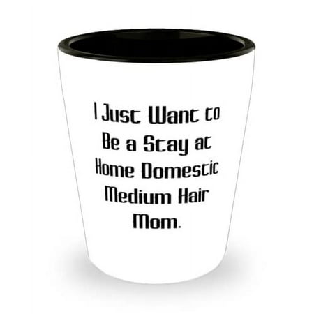 

Special Domestic Mediumhair Cat Gifts I Just Want to Be a Stay at Home Domestic Medium Joke Holiday Shot Glass From Cat Lovers Cat breeds Gifts for cat lovers Unique gifts for cat lovers Gift