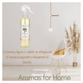 thumbnail image 4 of Eliminador de olores Ambientair Room Spray Sandalo y bergamota 250 ML, 4 of 4